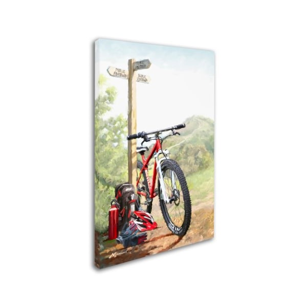 The Macneil Studio 'Mountain Bike' Canvas Art,12x19